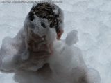 My Gallery (2/42)